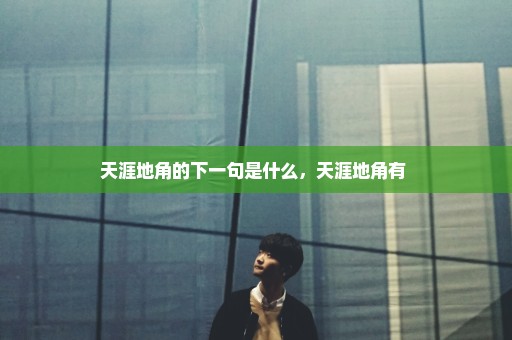 天涯地角的下一句是什么，天涯地角有 