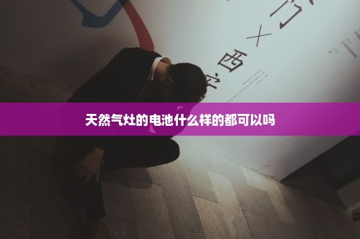 天然气灶的电池什么样的都可以吗