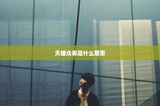 天猫众筹是什么意思