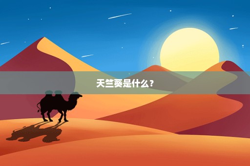 天竺葵是什么？