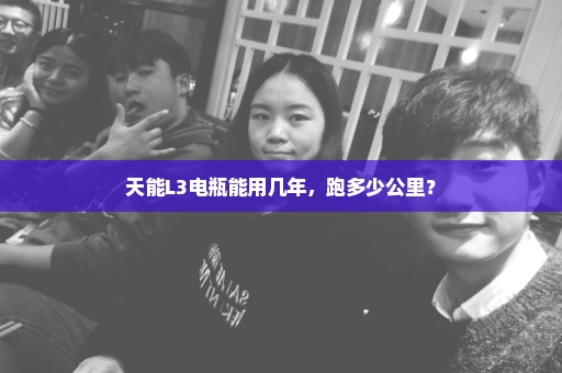 天能L3电瓶能用几年，跑多少公里？