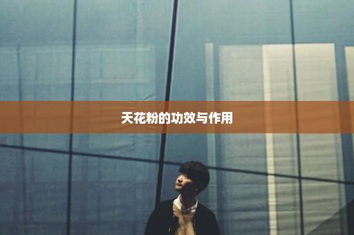 天花粉的功效与作用
