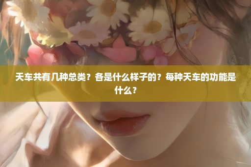 天车共有几种总类？各是什么样子的？每种天车的功能是什么？