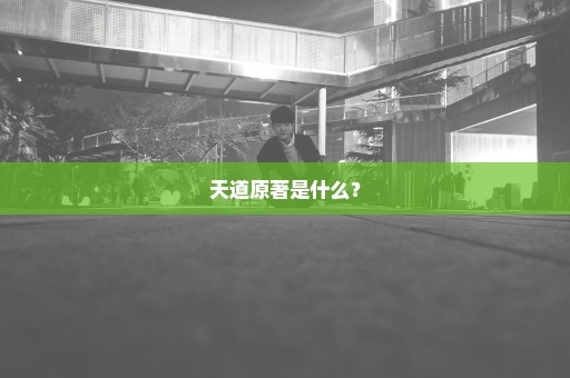天道原著是什么？