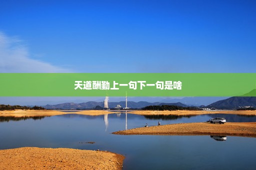 天道酬勤上一句下一句是啥