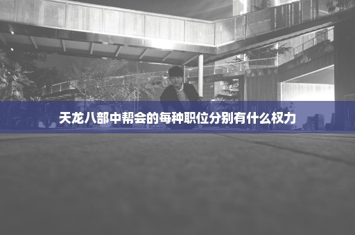 天龙八部中帮会的每种职位分别有什么权力
