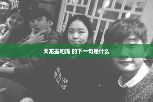 天龙盖地虎 的下一句是什么