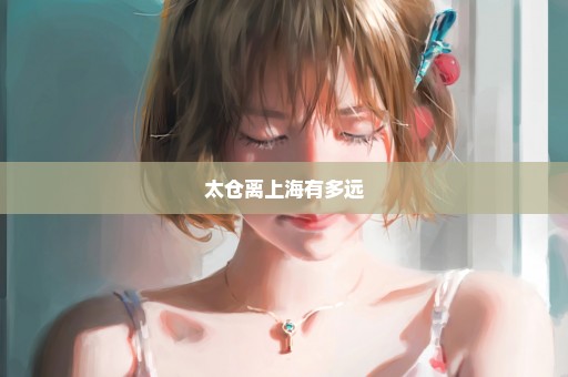 太仓离上海有多远