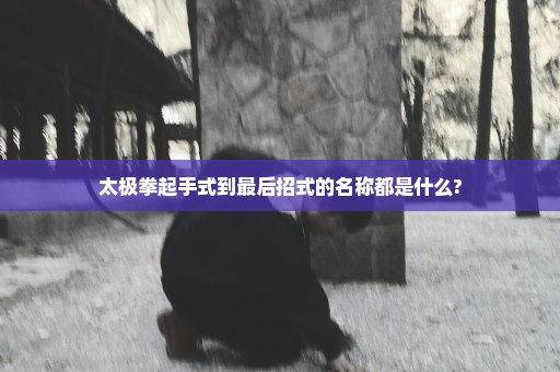 太极拳起手式到最后招式的名称都是什么?