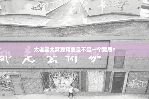太老实太窝囊窝囊是不是一个意思？