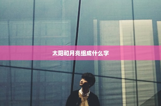 太阳和月亮组成什么字