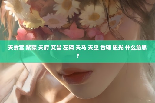 夫妻宫 紫薇 天府 文昌 左辅 天马 天巫 台辅 恩光 什么意思？