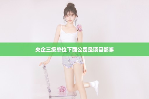 央企三级单位下面公司是项目部嘛