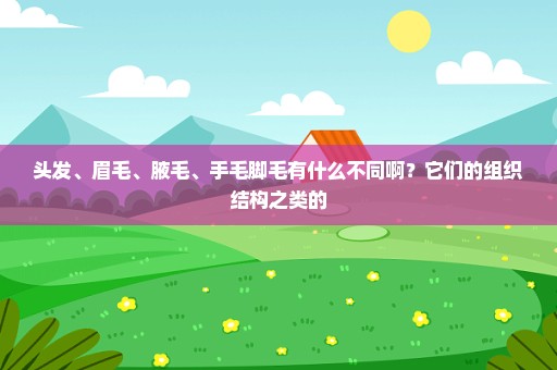 头发、眉毛、腋毛、手毛脚毛有什么不同啊？它们的组织结构之类的