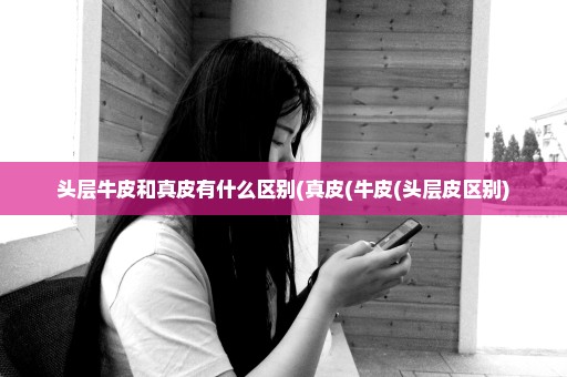 头层牛皮和真皮有什么区别(真皮(牛皮(头层皮区别)