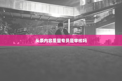 头条内容质量专员是审核吗