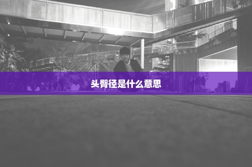头臀径是什么意思