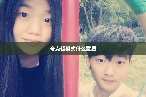 夸克轻模式什么意思
