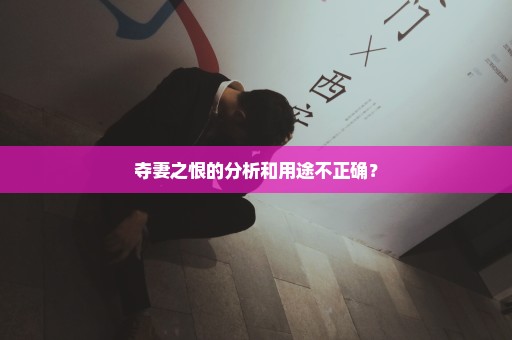 夺妻之恨的分析和用途不正确？