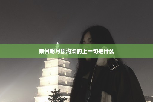 奈何明月照沟渠的上一句是什么