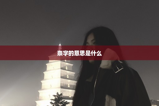 奈字的意思是什么