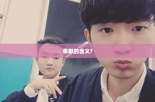 奉献的含义?