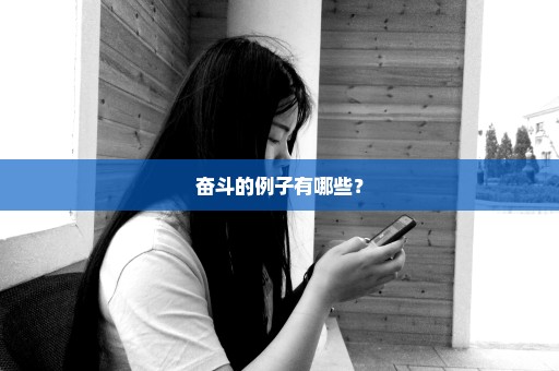 奋斗的例子有哪些？