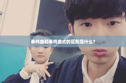 奏鸣曲和奏鸣曲式的区别是什么？