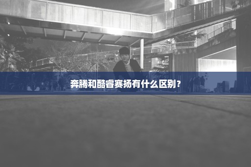 奔腾和酷睿赛扬有什么区别？