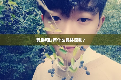 奔腾和i3有什么具体区别？
