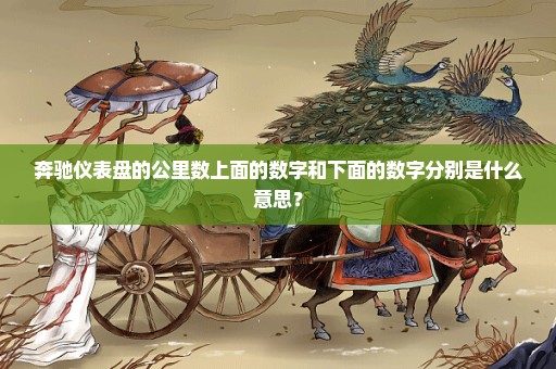 奔驰仪表盘的公里数上面的数字和下面的数字分别是什么意思？