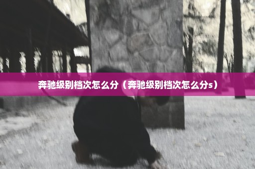 奔驰级别档次怎么分（奔驰级别档次怎么分s）