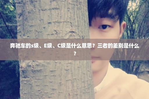 奔驰车的s级、E级、C级是什么意思？三者的差别是什么？