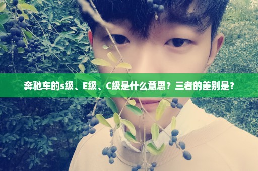 奔驰车的s级、E级、C级是什么意思？三者的差别是？