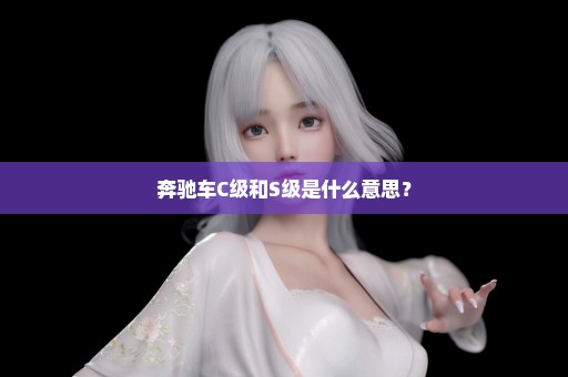 奔驰车C级和S级是什么意思？