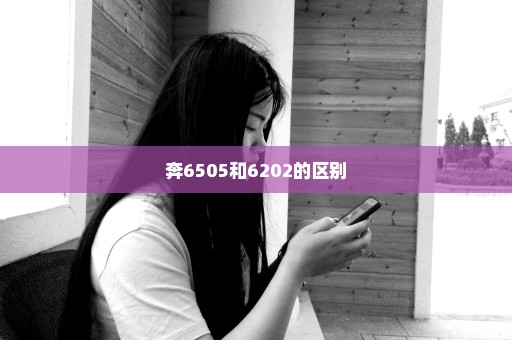 奔6505和6202的区别