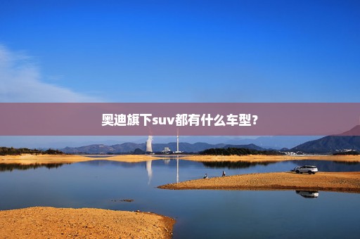 奥迪旗下suv都有什么车型？
