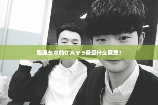 奥迪车中的Q A V S各是什么意思？