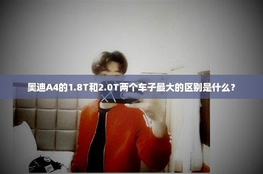 奥迪A4的1.8T和2.0T两个车子最大的区别是什么？