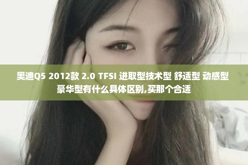 奥迪Q5 2012款 2.0 TFSI 进取型技术型 舒适型 动感型 豪华型有什么具体区别,买那个合适