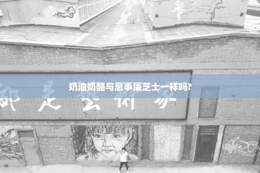 奶油奶酪与忌事廉芝士一样吗?