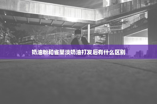 奶油粉和雀巢淡奶油打发后有什么区别