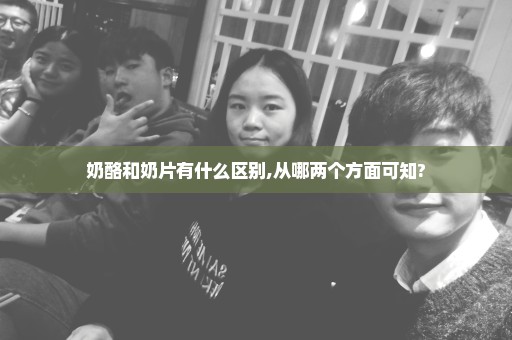 奶酪和奶片有什么区别,从哪两个方面可知?