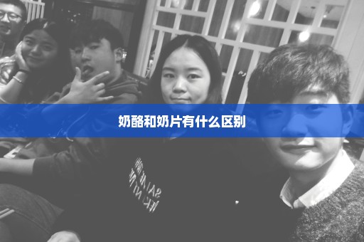 奶酪和奶片有什么区别