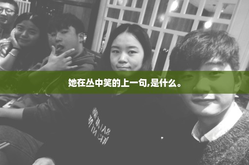 她在丛中笑的上一句,是什么。