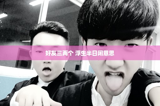 好友三两个 浮生半日闲意思