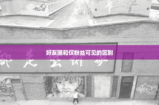 好友圈和仅粉丝可见的区别