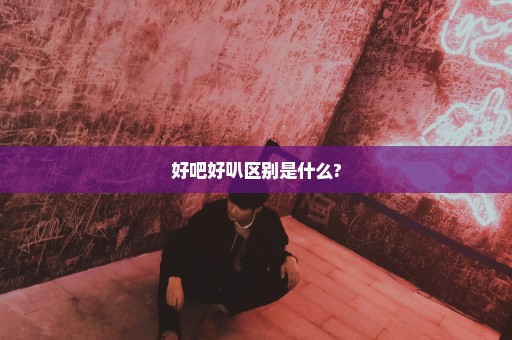 好吧好叭区别是什么?