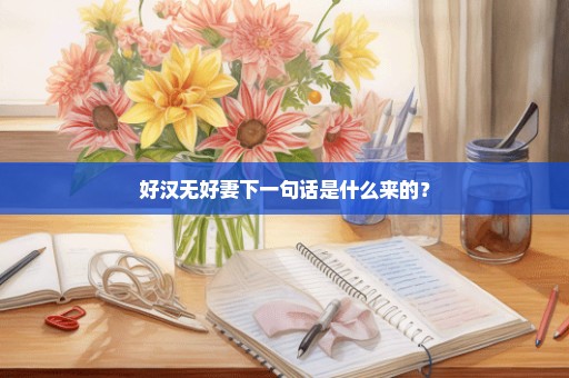好汉无好妻下一句话是什么来的？