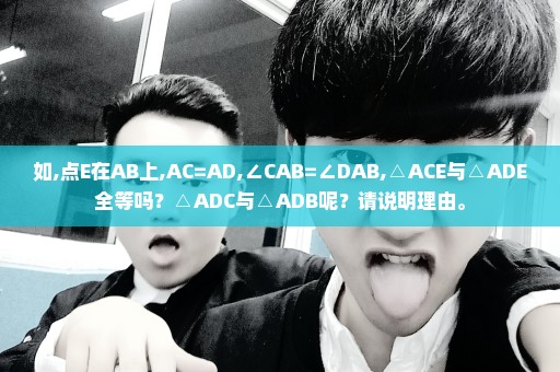 如,点E在AB上,AC=AD,∠CAB=∠DAB,△ACE与△ADE全等吗？△ADC与△ADB呢？请说明理由。